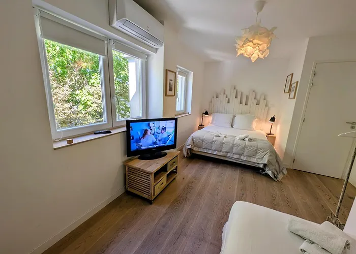 Szálloda Moodz Vienne 3*
